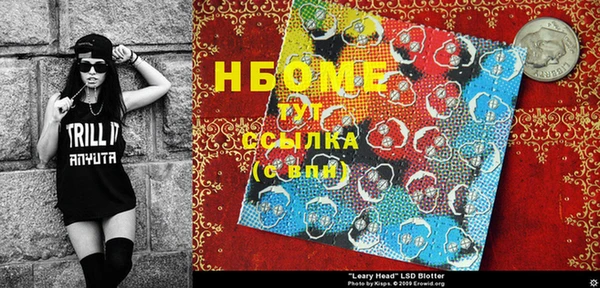 сатива Покачи